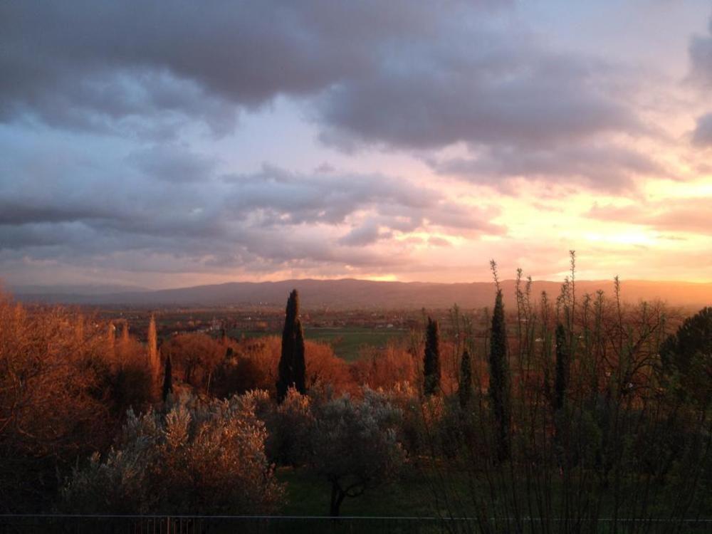 Villa Degli Ulivi Ασίζη Εξωτερικό φωτογραφία
