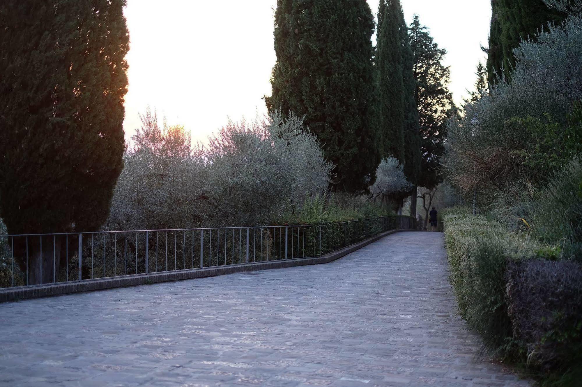 Villa Degli Ulivi Ασίζη Εξωτερικό φωτογραφία